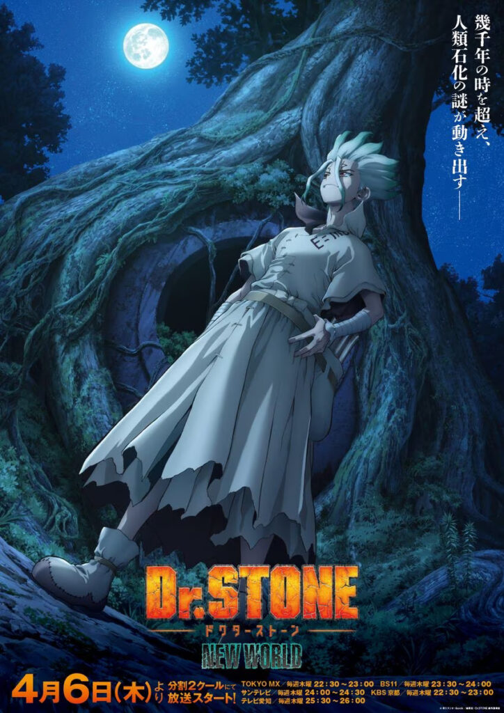 drstone new