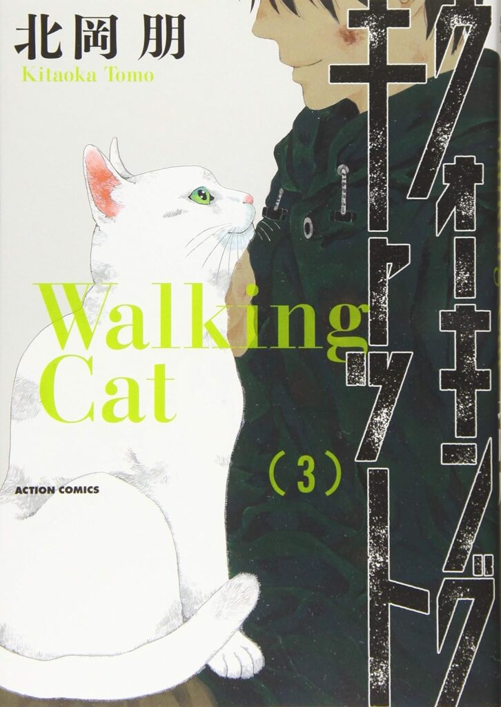 walkingcat3